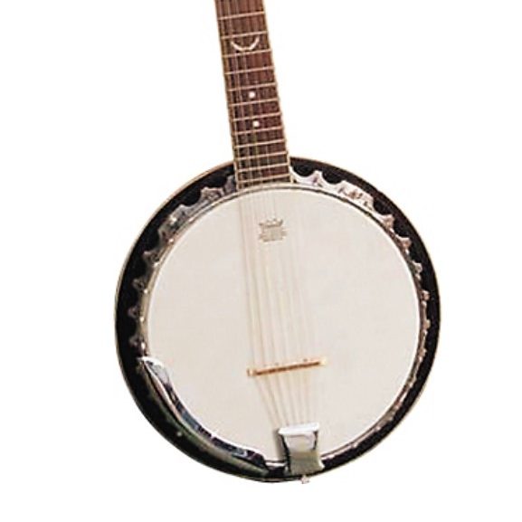 12 string banjo
