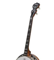 4-string banjo