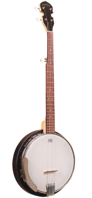 acoustic banjo