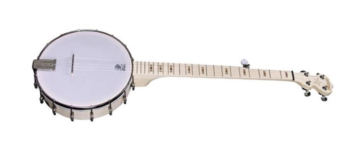 Image of the deering goodtime 5 string banjo