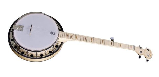 Picture of the Deering Goodtime 2 Banjo