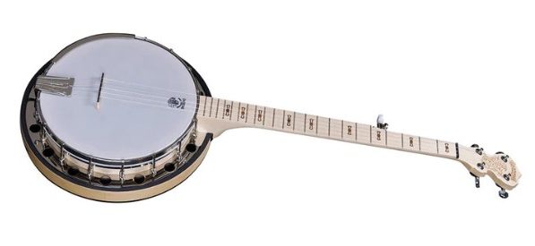 Picture of the Deering Goodtime Special 5-String Banjo